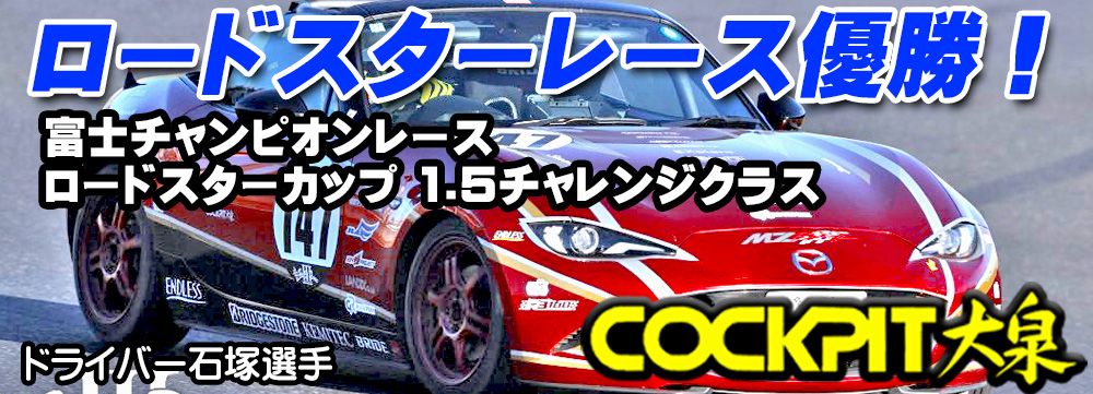 アイスワイヤー ND5 アーシングキット